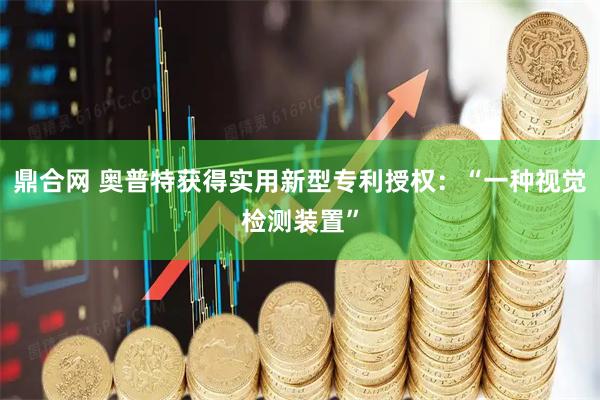 鼎合网 奥普特获得实用新型专利授权：“一种视觉检测装置”