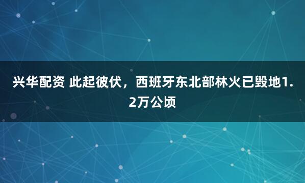兴华配资 此起彼伏，西班牙东北部林火已毁地1.2万公顷