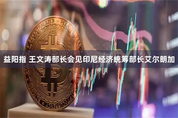 益阳指 王文涛部长会见印尼经济统筹部长艾尔朗加